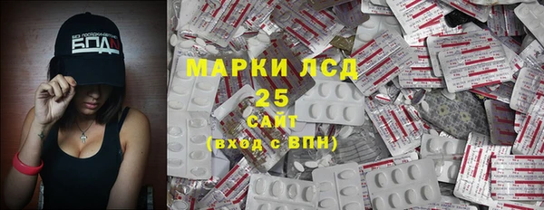 гидра Липки