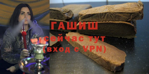 индика Кулебаки
