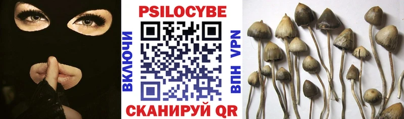 Галлюциногенные грибы Psilocybine cubensis  Минеральные Воды 
