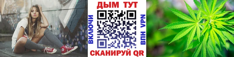 Бошки марихуана план  наркошоп  Минеральные Воды 
